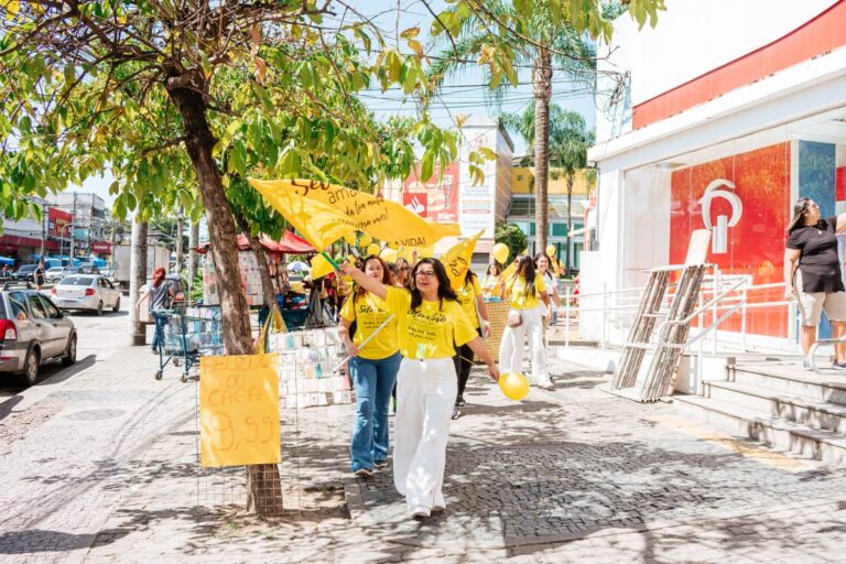 Caminhada pela vida 2024